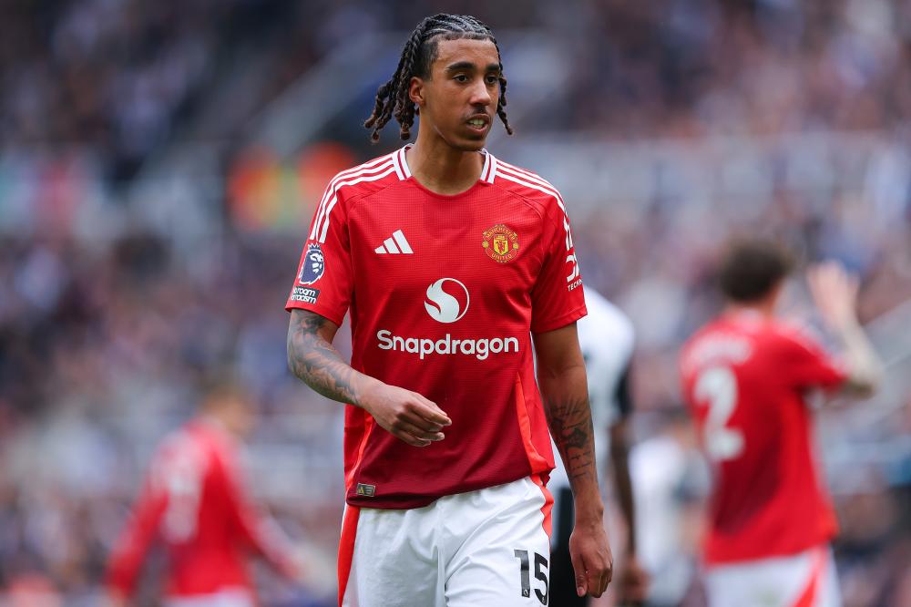 他们选择了 他们选择了